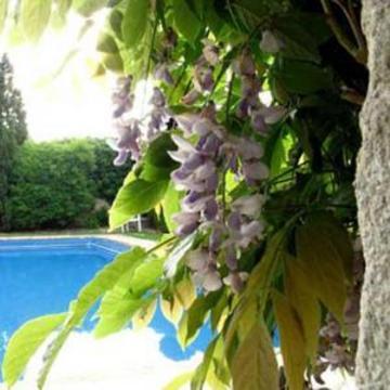 Weston Manor Hotel ภายนอก รูปภาพ